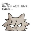 와드