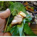 황산항아리보쌈 Daum카페