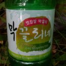 막끌리네 이미지