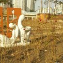 한내사거리 이미지