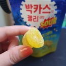 젤리주점