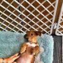 유카센타 이미지