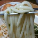요기우동 이미지
