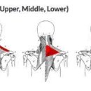 스카이뷰휘트니스 이미지