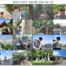 석성산 초당고앞 이미지