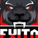 엑시토소