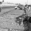 뽑기창고 이미지