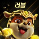 퍼피쿠키 이미지