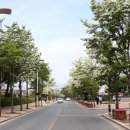 지방도 1042호 이미지