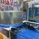 동구릉로136번길 | [구리 수산시장] 직접 고른 회에 라면까지?! 구리농수산물도매시장 후기🐟