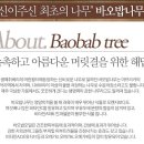 바오밥 커머스