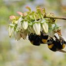 시아농장 이미지