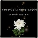 🕯 무안공항 제주항공 사고 희생자를 추모 합니다.🕯 이미지