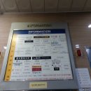 보라메디칼 | 용인 죽전 속눈썹펌 &#39;브로우나우&#39; 노글루펌 후기