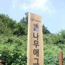(주)나무애