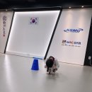 고덕 K태권스쿨 이미지