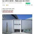 MZ고객이 안 좋아해... 이름 바꾸는 백화점들 이미지