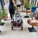 주식회사 아주르852 The앙즈로산후조리원 | 조리원 퇴소전날 쓰는 앙즈로 산후조리원 2주 에스테틱,도수치료 대만족 후기