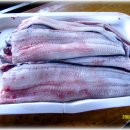 셀프장어 이미지