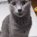 경기도 수원시 영통구 영통로241번길 이미지