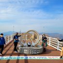 산삼휴양밸리(대봉캠핑랜드) 이미지