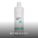 에코씨엘 | 씨엘제로 CZ-5 리필필터 잔류염소 제거 물맛개선 한 달 후기