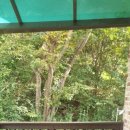 배내골 휴펜션 이미지