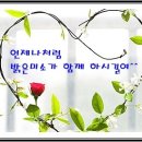 새롭개 이미지