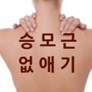 에이치짐투 이미지