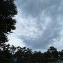 숲에오름협동조합 | 265th Camping, in 붉은오름 자연휴양림 숲속 야영장... 2주 연속, 비 소식에 갈까 말까 망설였던.