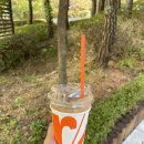 롬브 커피 하우스 이미지