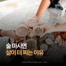 Y-026 | 술 마시면 살이 더 찌는 이유