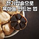 전기밥솥으로 만드는 흑마늘, 효능 및 섭취 방법 이미지