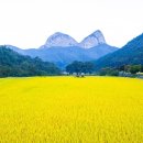 ㈜동천여행사 이미지