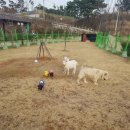 수성그린비 이미지