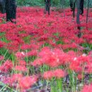 상림약수터 이미지