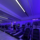 본투비짐 | 엘리트 선수 출신 트레이너와 제대로 시작한 문화동 PT, 본투비짐 후기