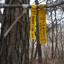 곡성-131 이미지