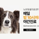 뉴본동물의료센터 이미지