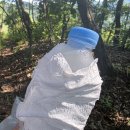 ＜정맥11차＞금북2구간 보충산행,, 그리고 「마곡사」 이미지