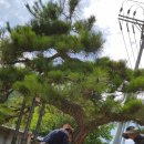 구암동387 이미지