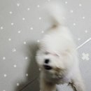 정성유통 - 계양구 계양산로 215 | 정성유통