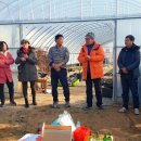 빛고을농장 이미지