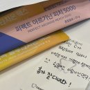 🇻🇳 Nahtrang ep.01_무이네사막투어, 올라카페, 서울이발관, 멜리아빈펄 엠파이어 호텔