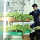 코리아팜(주) 이미지