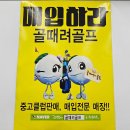 (주)제로골프 | 스파이더 5K ZT 제로토크 테일러메이드 퍼터 상동 골프샵 구매 후기