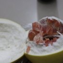 서주식당