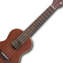 맑은 소리 우쿨렐레 이미지