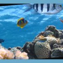 초지고등학교 이미지