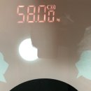 11월 4주차 :: 잠시만 안녕